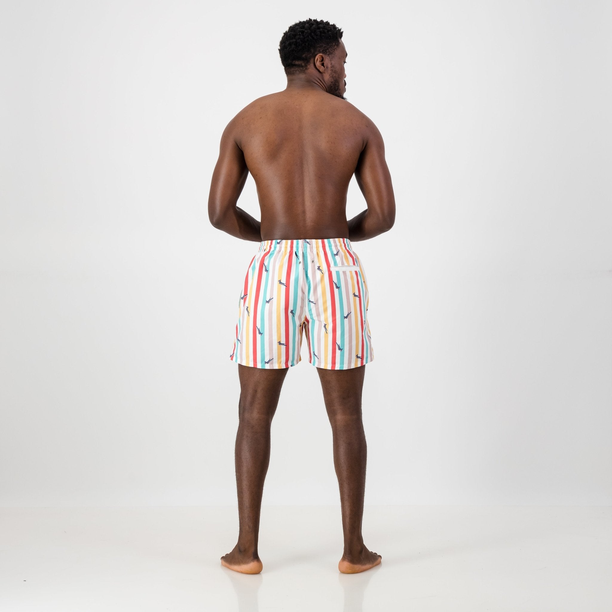 Springboks Candy Stripe Swim Short - Old School