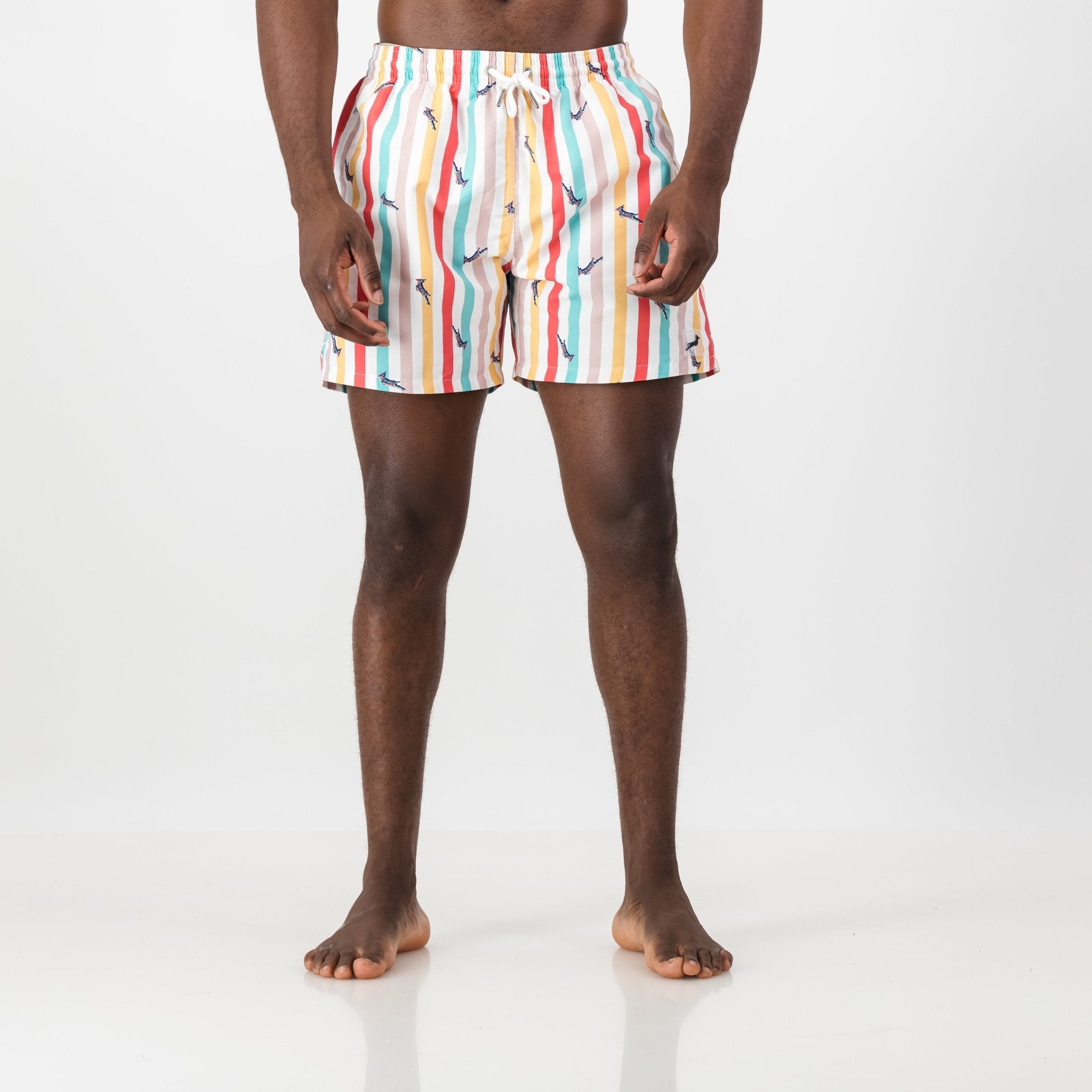 Springboks Candy Stripe Swim Short - Old School