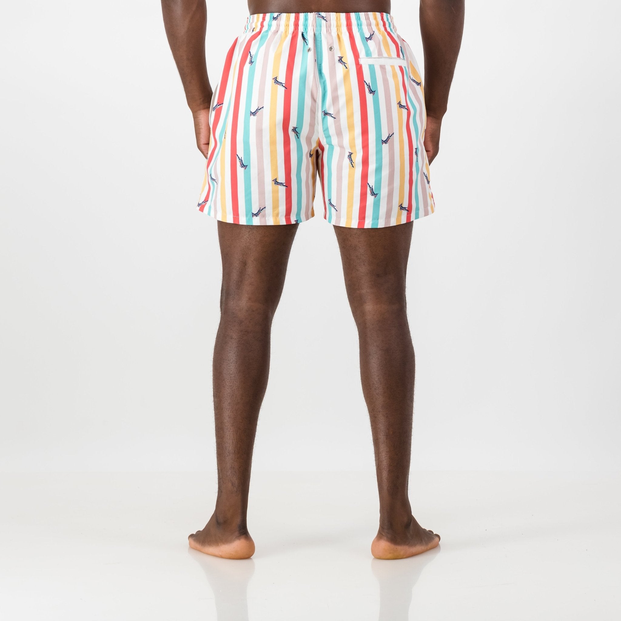 Springboks Candy Stripe Swim Short - Old School